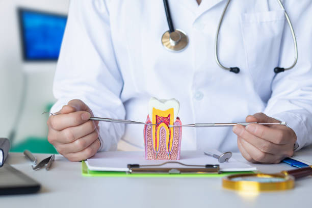 Best Emergency Root Canal Treatment in Mequon, WI